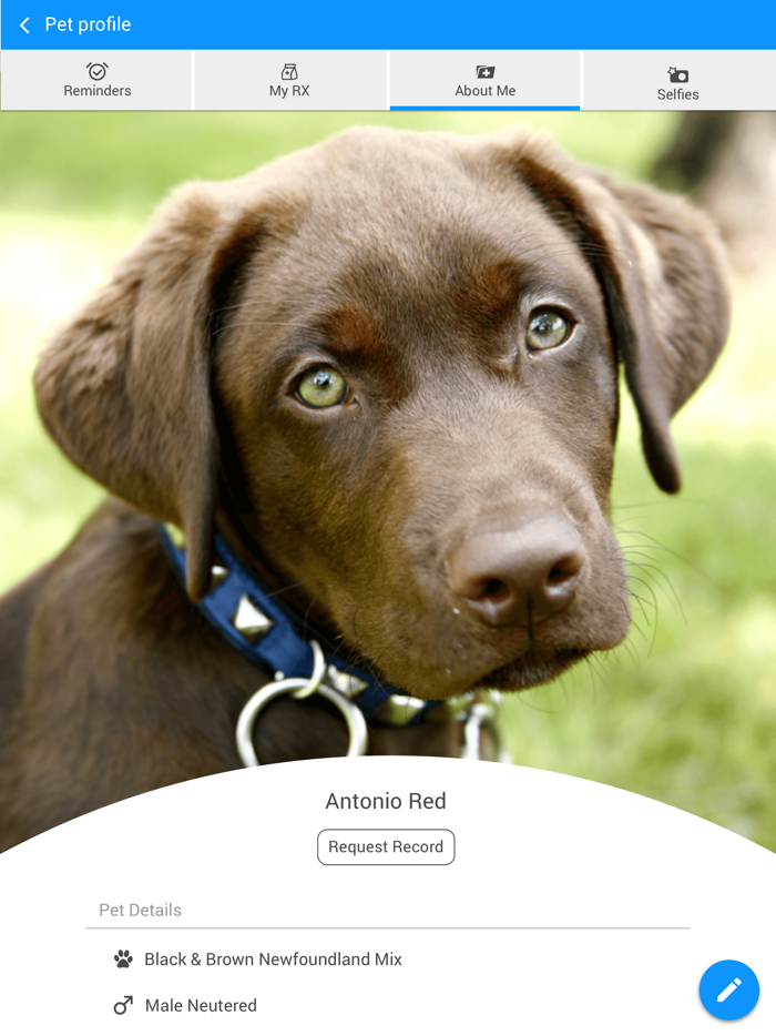 Gulf Gate Animal Hospital