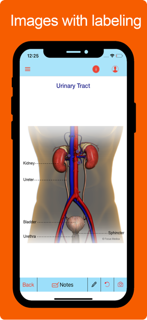 Atlas of Urology(圖2)-速報App