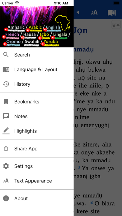 African Ten Languages screenshot 3