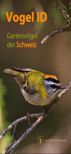 Vogel Id Schweiz