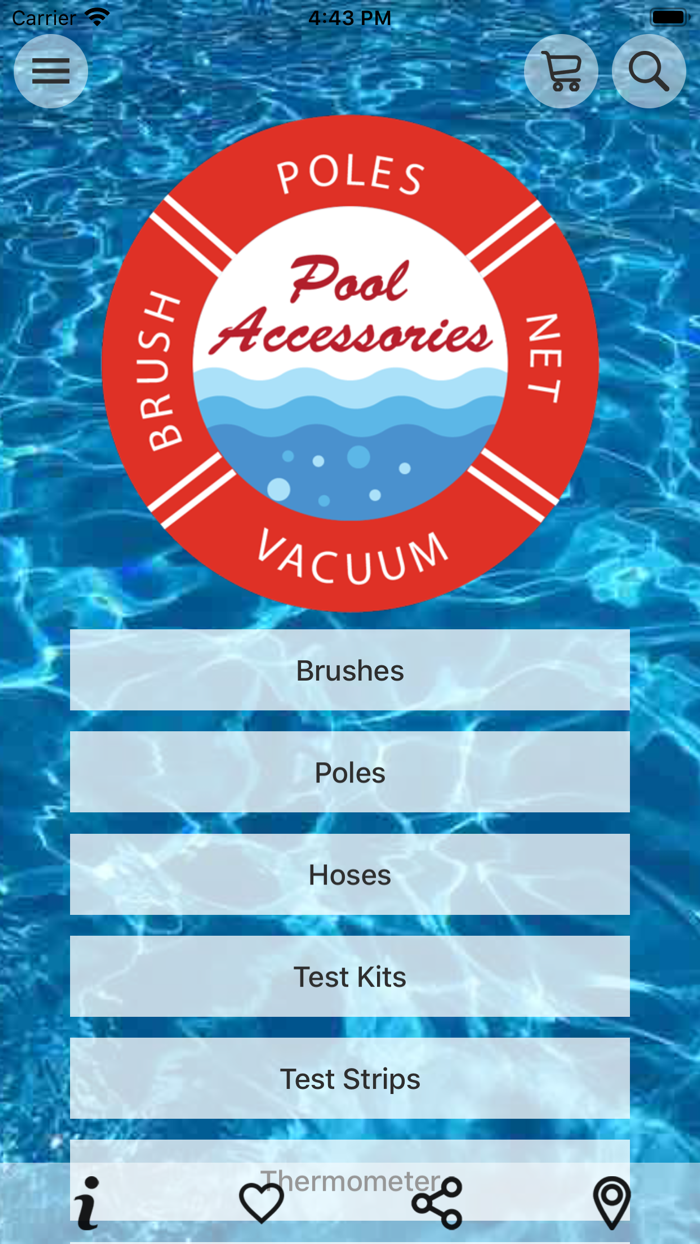 Pool and Spa Accessories