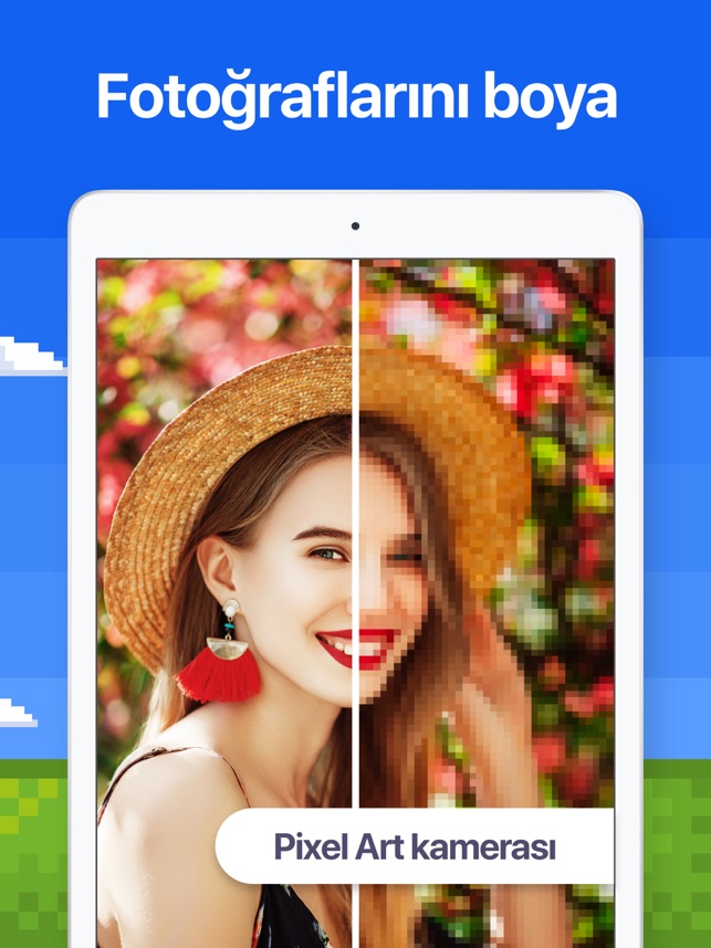 Pixel Art Boyama Oyunlari App Store Da