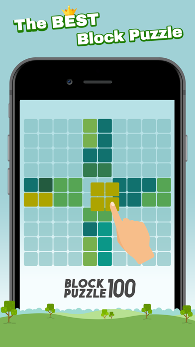 Block Puzzle 100 screenshot1