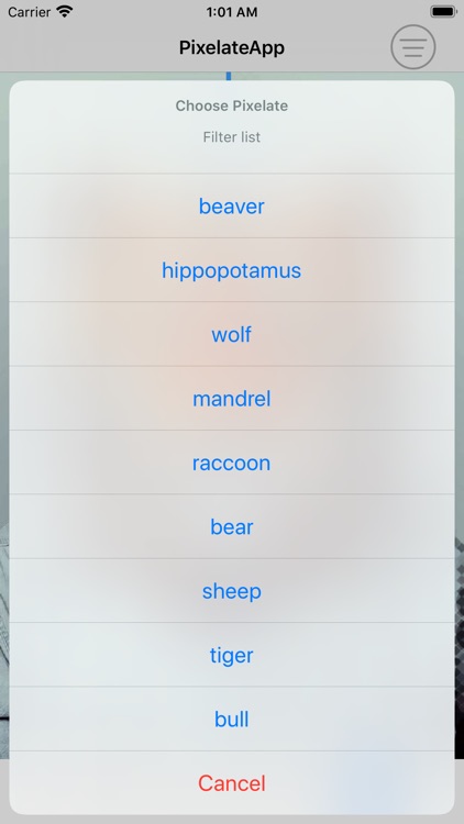PixelateApp screenshot-3