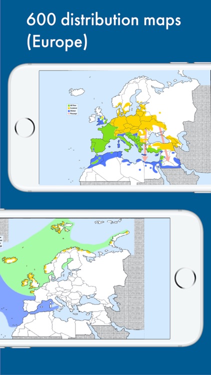 BIRD SONGS Europe North Africa screenshot-5