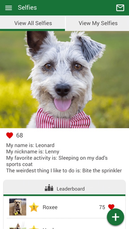 Just Like Home Pet Hotel screenshot-3