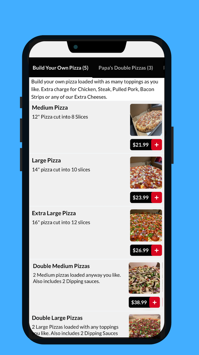 Papas Pizza Land Shop