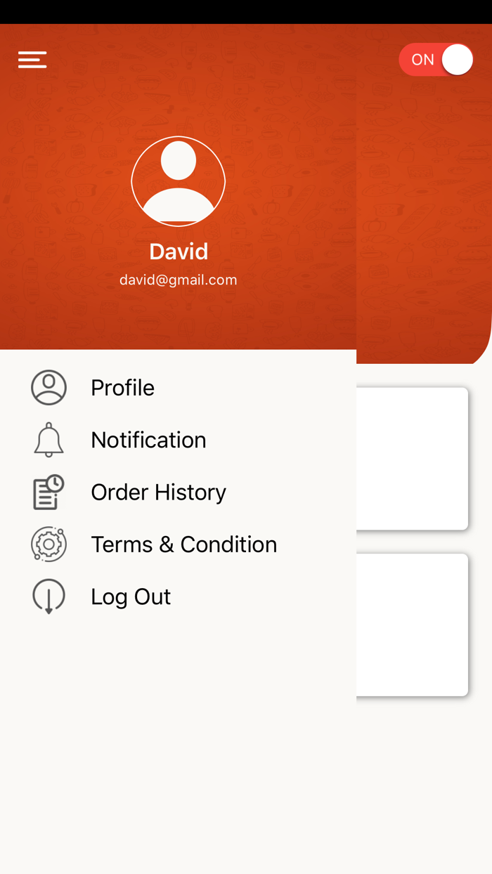 Daily Delivery Driver