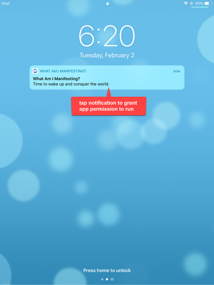 What Am I Manifesting?