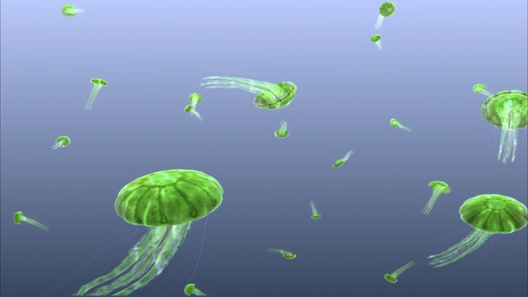 Jellyfish Chrysaora screenshot-9