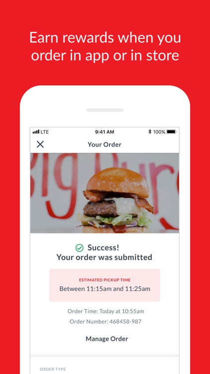 Little Big Burger