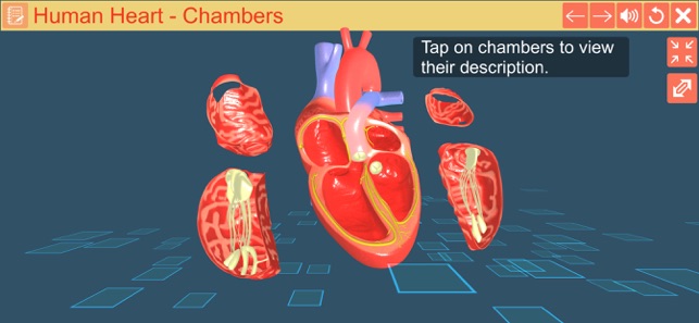 Cardiac pacemaker(圖4)-速報App