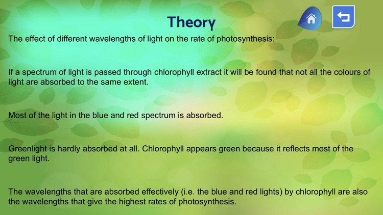 The Photosynthesis