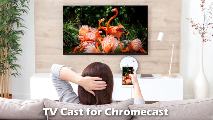 TV Cast Screen Mirroring