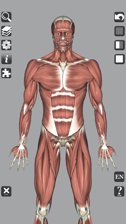 3D Anatomy Learning screenshot-3