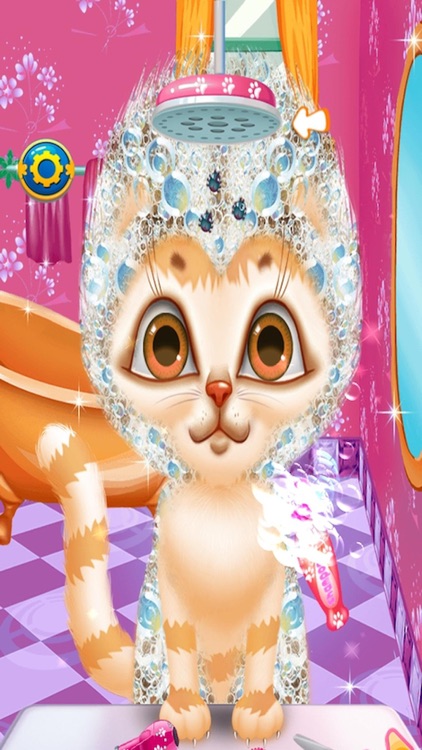 Crazy Cat Hair Salon-Care Game