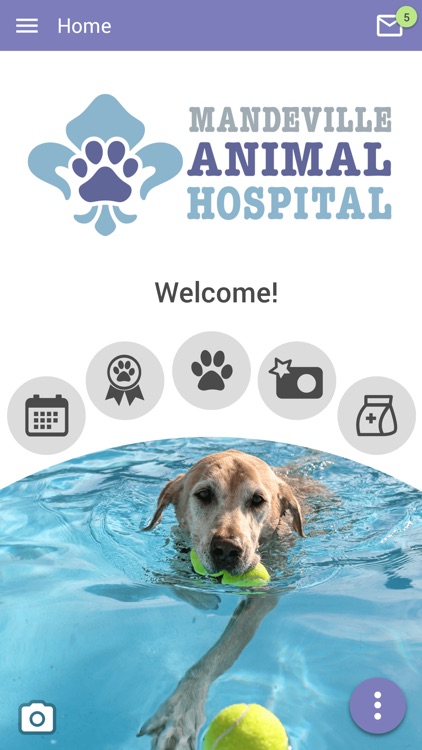 Mandeville Animal Hospital