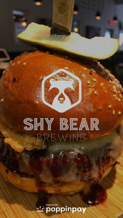 Shy Bear Brewing