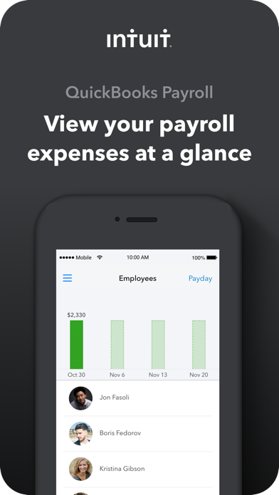 Online Payroll screenshot 1