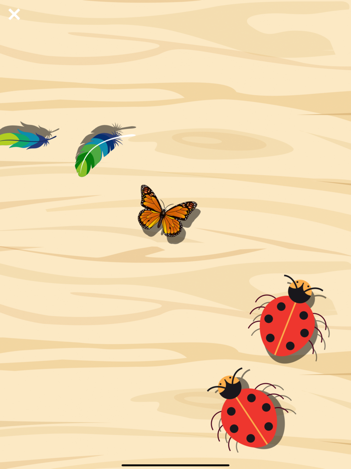 Cat Games for Cats  Cat Toy