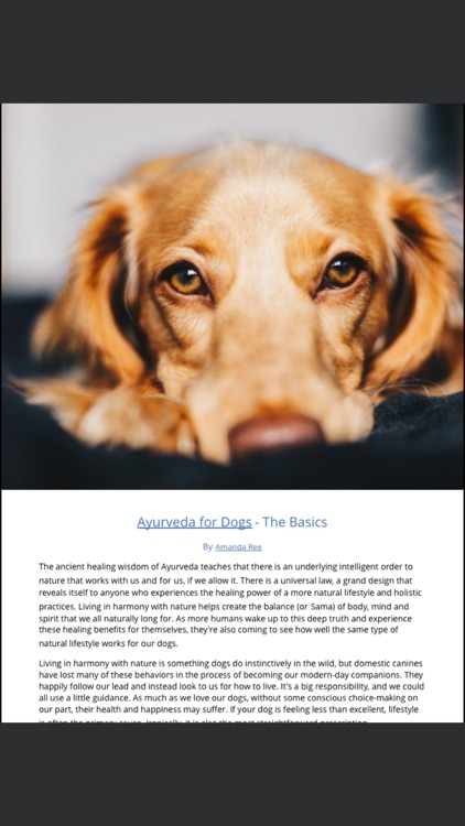 Wagging Tails Magazine screenshot-3