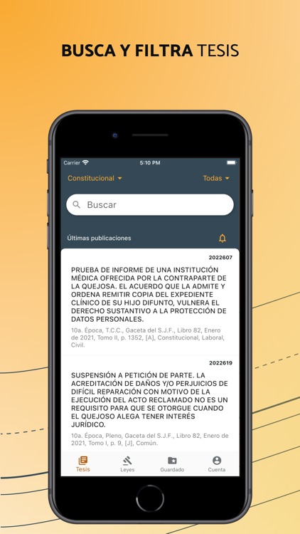IUS - Tesis y leyes de México