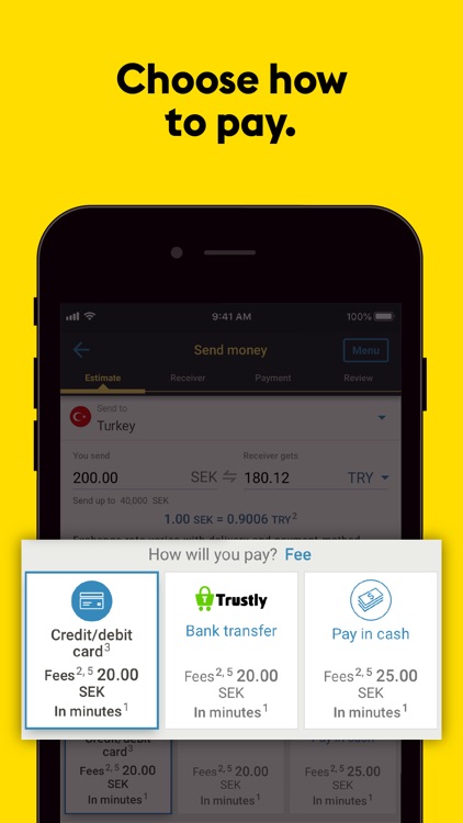Western Union Money Transfer screenshot-1