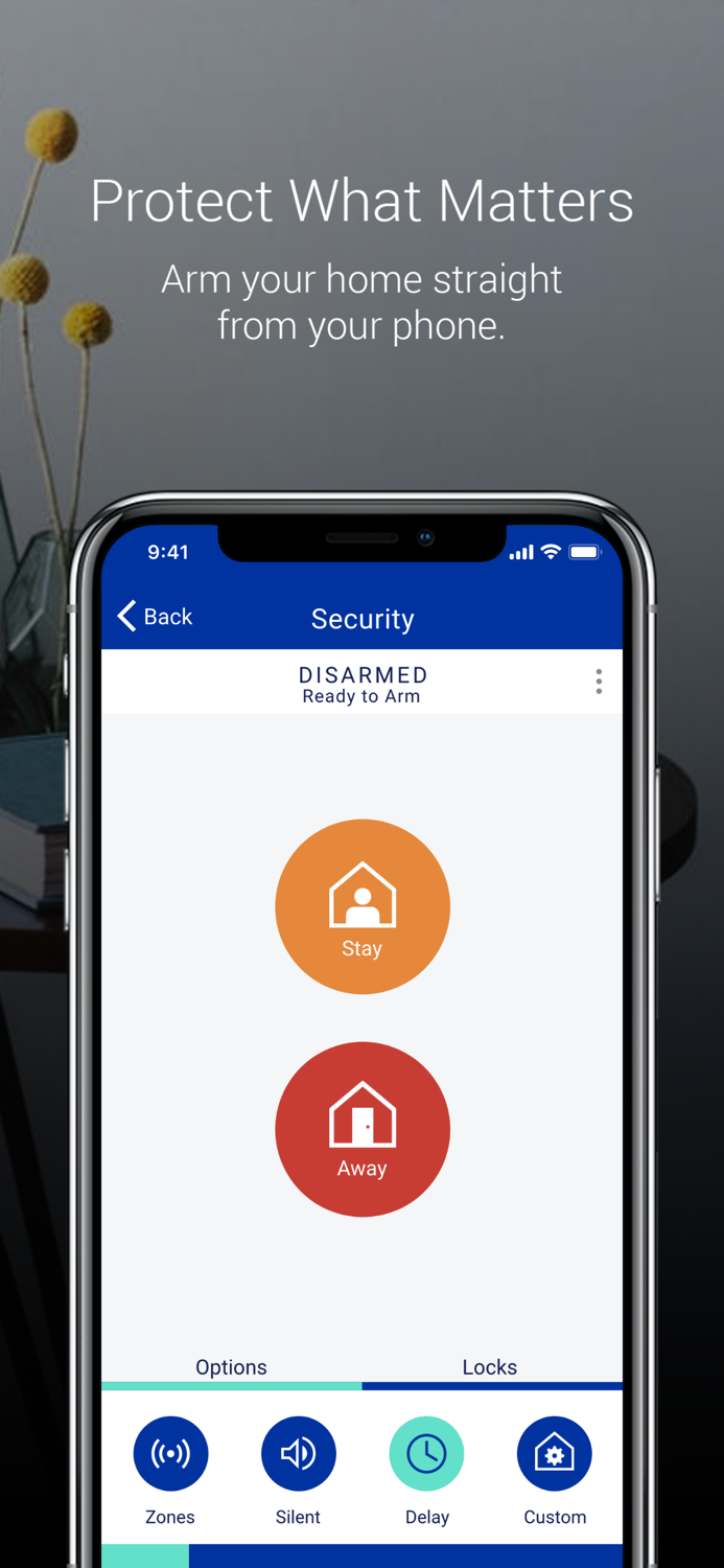 Brinks Home  Protect America