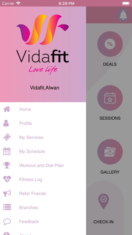 VidaFit