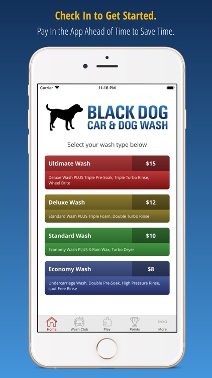 Black Dog Car and Dog Wash