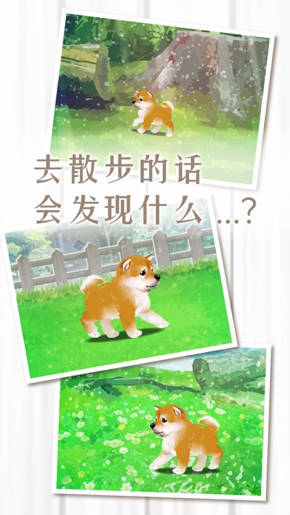 养育柴犬的治愈游戏 screenshot-3