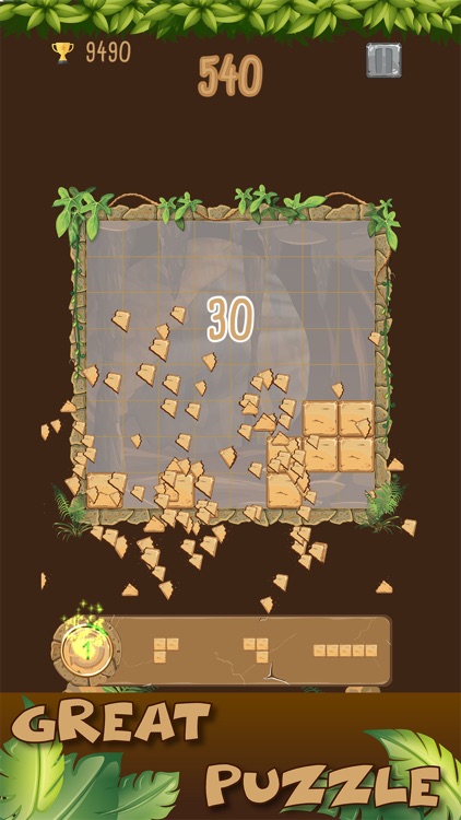 Put Stone Puzzle screenshot-3