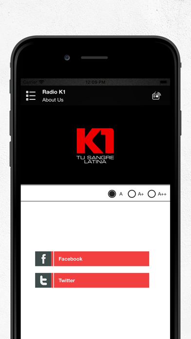 Radio K1 screenshot 4