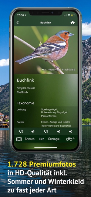 Alle Vögel Österreich(圖5)-速報App
