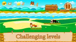 Game screenshot Fast Fox Adventures apk