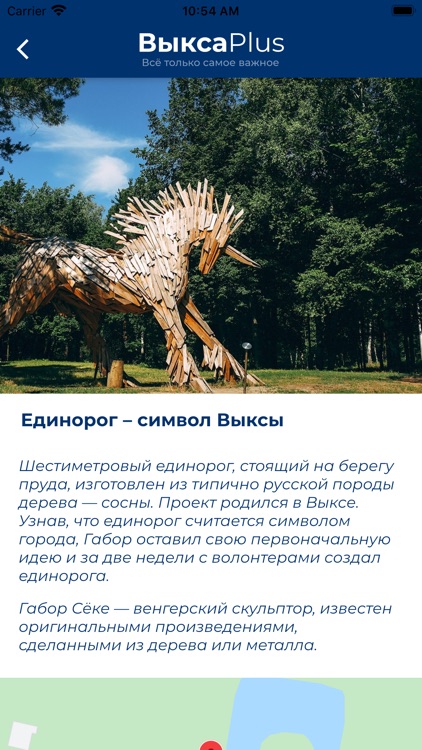 Выкса Plus screenshot-7