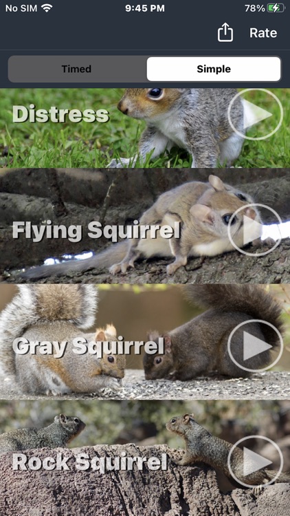 Squirrel Calls for Hunting screenshot-3