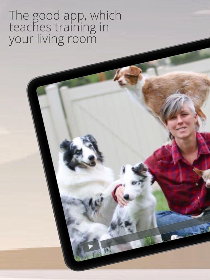 Dog Training Adopt My A Pet