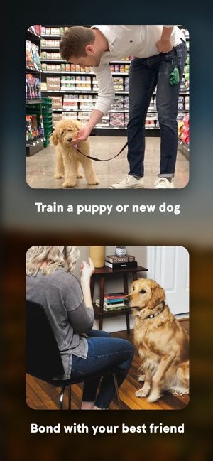 Harper — at home dog training(圖4)-速報App