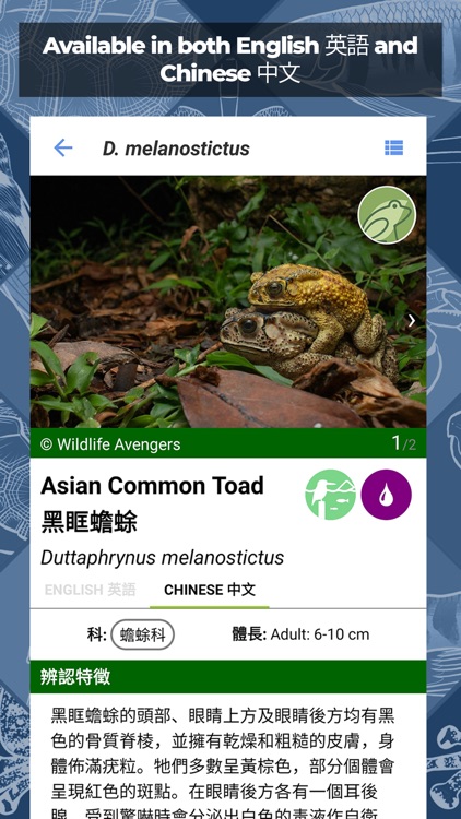 Freshwater Species: Hong Kong screenshot-3