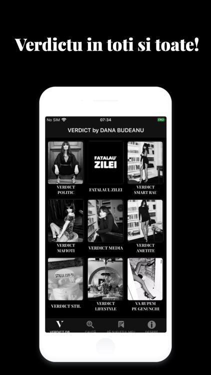 Verdict Dana Budeanu
