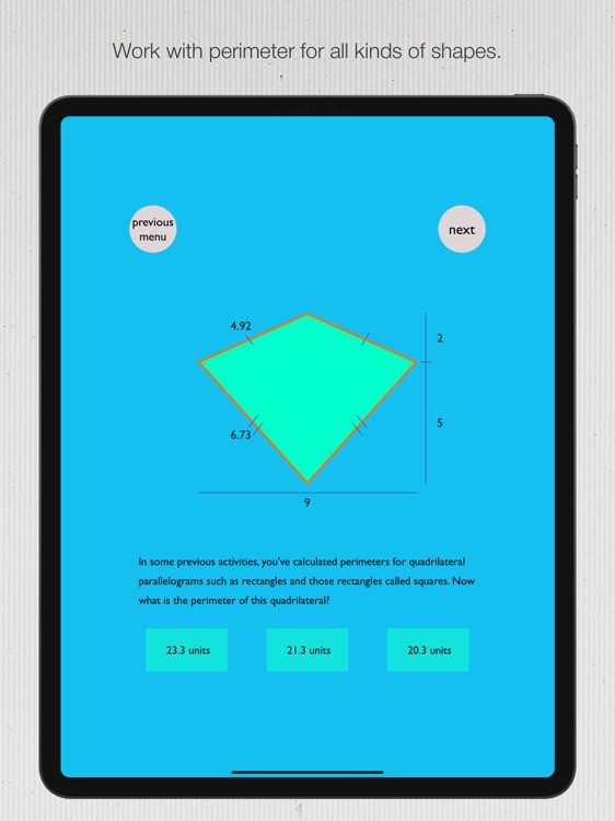 Perimetarea screenshot-5