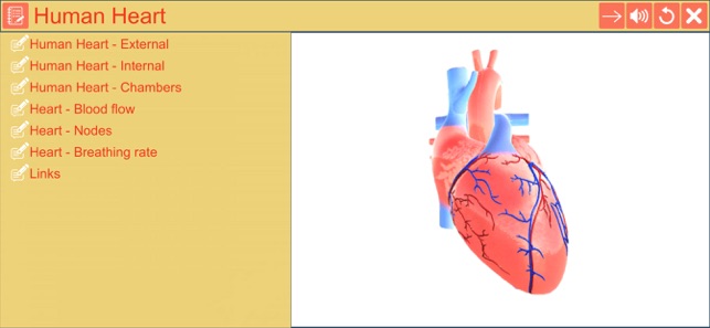 Cardiac pacemaker