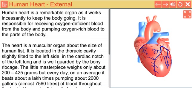 Cardiac pacemaker(圖2)-速報App