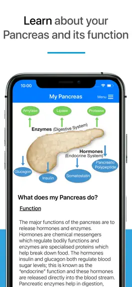 Game screenshot My Pancreas apk