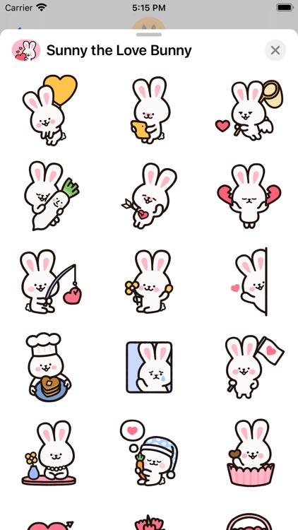 Sunny the Love Bunny