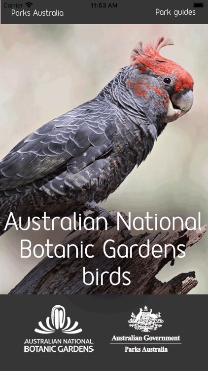 ANBG Birds