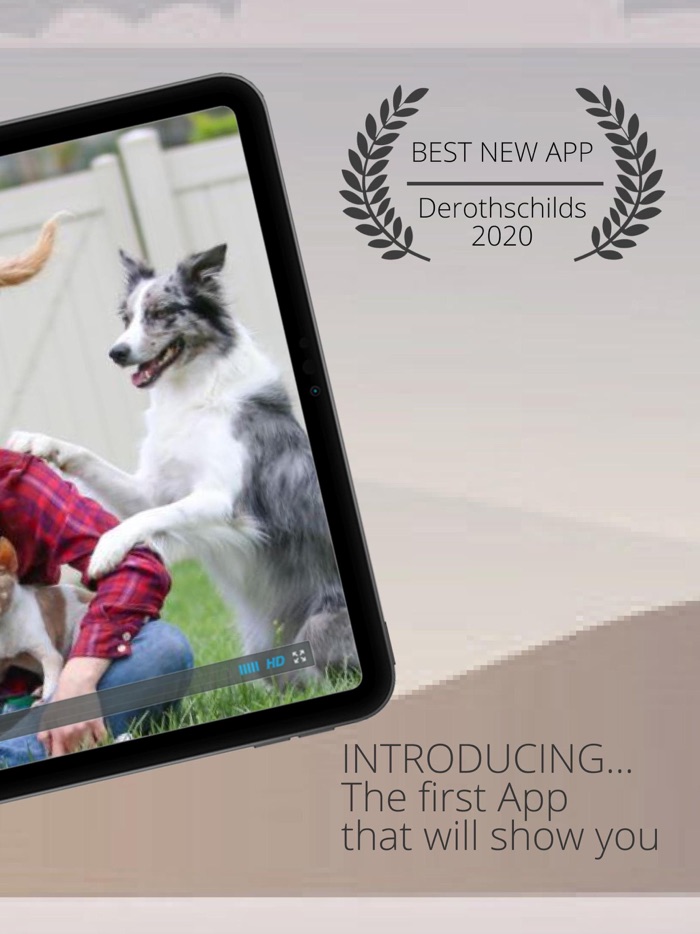 Dog Training Adopt My A Pet