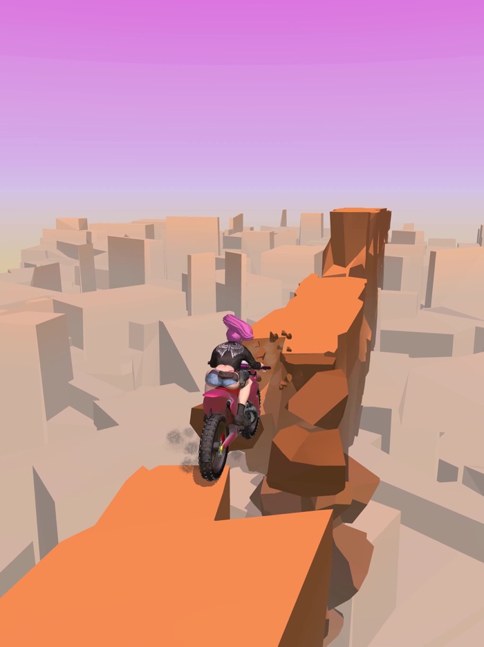 Dirt Bike - Motocycle