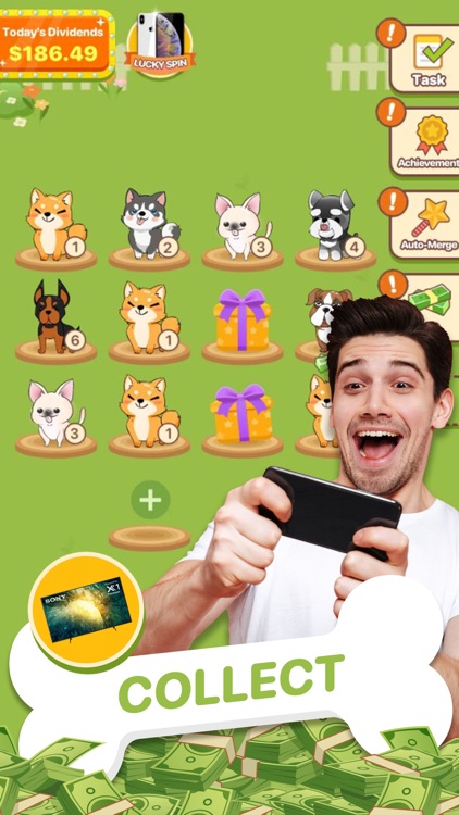 Puppy Town - Merge & Win